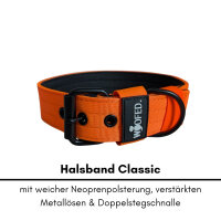 Nylon Classic Halsband Safety Orange - XL 56-62cm | 5cm / Silber