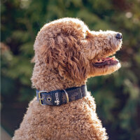 Nylon Classic Halsband Black Camo - S 34-40cm | 3,2cm /...