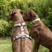 Y-Hundegeschirr 4fach-verstellbar mit Griff und Sicherheitsschnallen Desert Tan - ultraleicht - S
