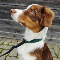 Nylon Retrieverleine verstellbar Dark Green