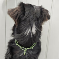 Woofchain Kettenhalsband aus Edelstahl Olive - 62cm