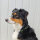Woofchain Kettenhalsband aus Edelstahl Olive - 62cm