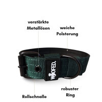 Nylon Classic Halsband Dark Green - S 34-40cm | 3,2cm