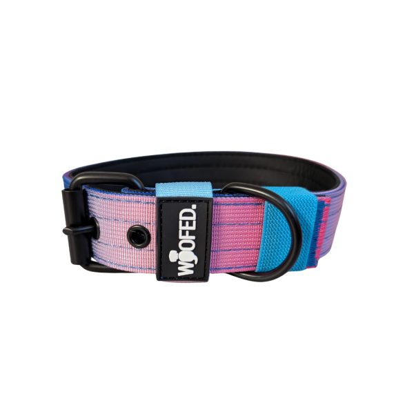Nylon Classic Halsband Pink Blue Sky - XL 56-62cm | 5cm
