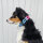 Nylon Classic Halsband Pink Blue Sky - XL 56-62cm | 5cm