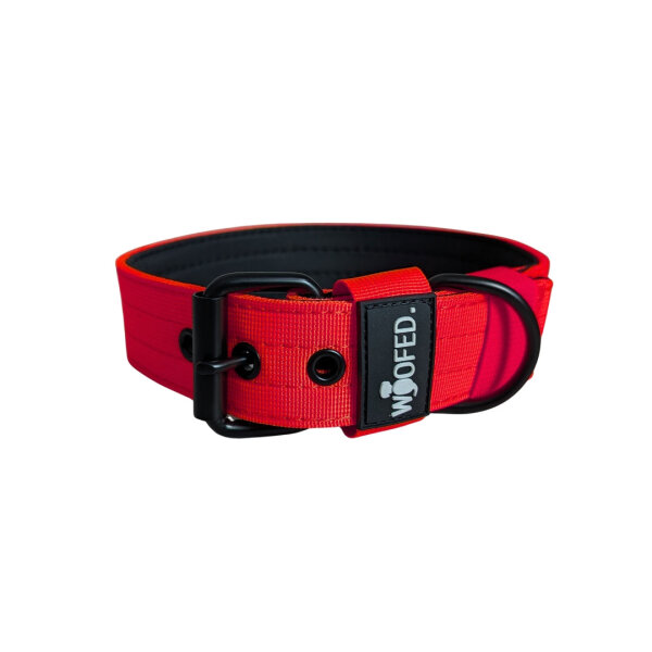 Nylon Classic Halsband Rosso Red - XL 56-62cm | 5cm