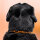Woofchain Kettenhalsband aus Edelstahl Orange - 42 cm
