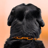 Woofchain Kettenhalsband aus Edelstahl Orange - 46cm