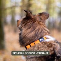Halsband WOOFLEX® Classic verstellbar Sunset Orange - M 37-47cm 2,5cm