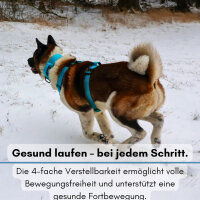 Y-Hundegeschirr 4fach-verstellbar mit Griff und Sicherheitsschnallen Arctic Sky - ultraleicht - M