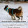 Y-Hundegeschirr 4fach-verstellbar mit Griff und Sicherheitsschnallen Arctic Sky - ultraleicht - M