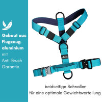 Y-Hundegeschirr 4fach-verstellbar mit Griff und Sicherheitsschnallen Arctic Sky - ultraleicht - L