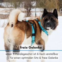 Y-Hundegeschirr 4fach-verstellbar mit Griff und Sicherheitsschnallen Arctic Sky - ultraleicht - L