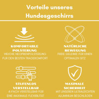 Y-Hundegeschirr 4fach-verstellbar mit Griff und Sicherheitsschnallen Sunset Yellow - ultraleicht - M