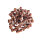 Insekten Trainingssnack - 200g