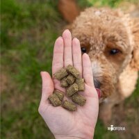 Kräuter Trainingssnack - 200g
