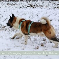 Y-Hundegeschirr 4fach-verstellbar mit Griff und Sicherheitsschnallen Sage Green - ultraleicht - XS