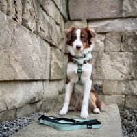 Y-Hundegeschirr 4fach-verstellbar mit Griff und Sicherheitsschnallen Sage Green - ultraleicht - M