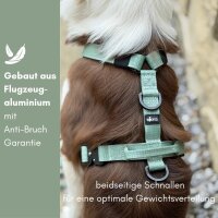 Y-Hundegeschirr 4fach-verstellbar mit Griff und Sicherheitsschnallen Sage Green - ultraleicht - M