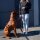 Y-Hundegeschirr 4fach-verstellbar mit Griff und Sicherheitsschnallen Bordeaux - ultraleicht - S