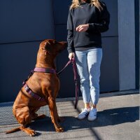Y-Hundegeschirr 4fach-verstellbar mit Griff und Sicherheitsschnallen Bordeaux - ultraleicht - M