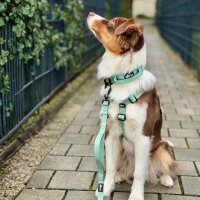 Nylon Pro Führleine Sage Green - Leine 2.5m 3-fach verstellbar