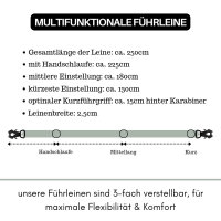 Nylon Tactical Führleine Sage Green - Leine 2.5m 3-fach verstellbar