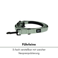 Nylon Classic Führleine Sage Green - 2,5m 3-fach verstellbar mit Kurzführgriff