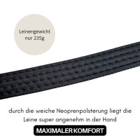 Nylon Classic Führleine Sage Green - 2,5m 3-fach verstellbar