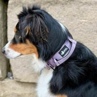 Nylon Tactical Halsband Lilac - ultraleicht - L 46-65cm |...