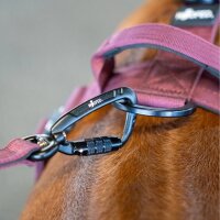 Nylon Pro Führleine Bordeaux - Leine 2.5m 3-fach verstellbar mit Kurzführgriff