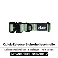 taktisches Nylon Halsband für kleine Hunde Sage Green - XS 25-32cm | 2,5cm - mit Griff
