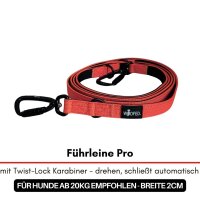 Halsband-Leinen-Set Nylon Rosso Red