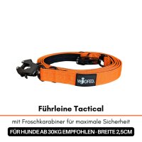 Halsband-Leinen-Set Nylon Safety Orange