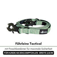 Halsband-Leinen-Set Nylon Sage Green