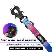 Nylon Tactical Führleine Pink Blue Sky