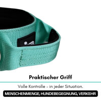 Nylon Tactical Halsband Seafoam