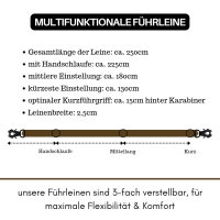 Nylon Tactical Führleine Dark Brown