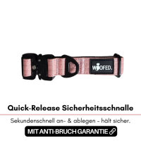 Nylon Tactical Halsband für kleine Hunde Dusty Rose