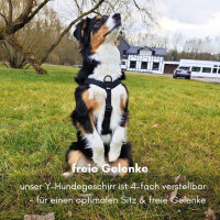 Y-Hundegeschirr 4fach-verstellbar mit Griff und Sicherheitsschnallen Deep Black - ultraleicht