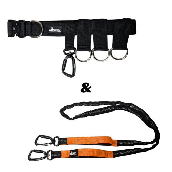 Gassigürtel Joggingleine Bundle