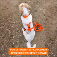 multifunktionale Schleppleine WOOFLEX® Sunset Orange