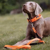 Nylon Classic Führleine Safety Orange