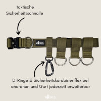 Gassigürtel Military Olive - verstellbar mit taktischer Schnalle - ultraleicht