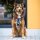 Y-Hundegeschirr 4fach-verstellbar mit Griff und Sicherheitsschnallen Pink Blue Sky - ultraleicht