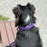 Nylon Tactical Halsband Velvet Purple - ultraleicht