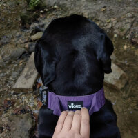 Nylon Tactical Halsband Velvet Purple - ultraleicht