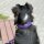 Nylon Tactical Halsband Velvet Purple - ultraleicht