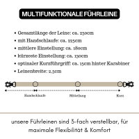 Nylon Tactical Führleine Desert Tan