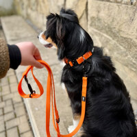 Führleine WOOFLEX® Pro verstellbar Sunset Orange